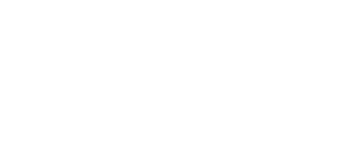 Flynn Restaurant Group