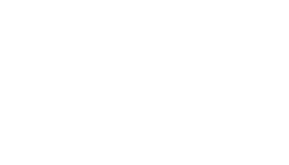 Ford's Garage